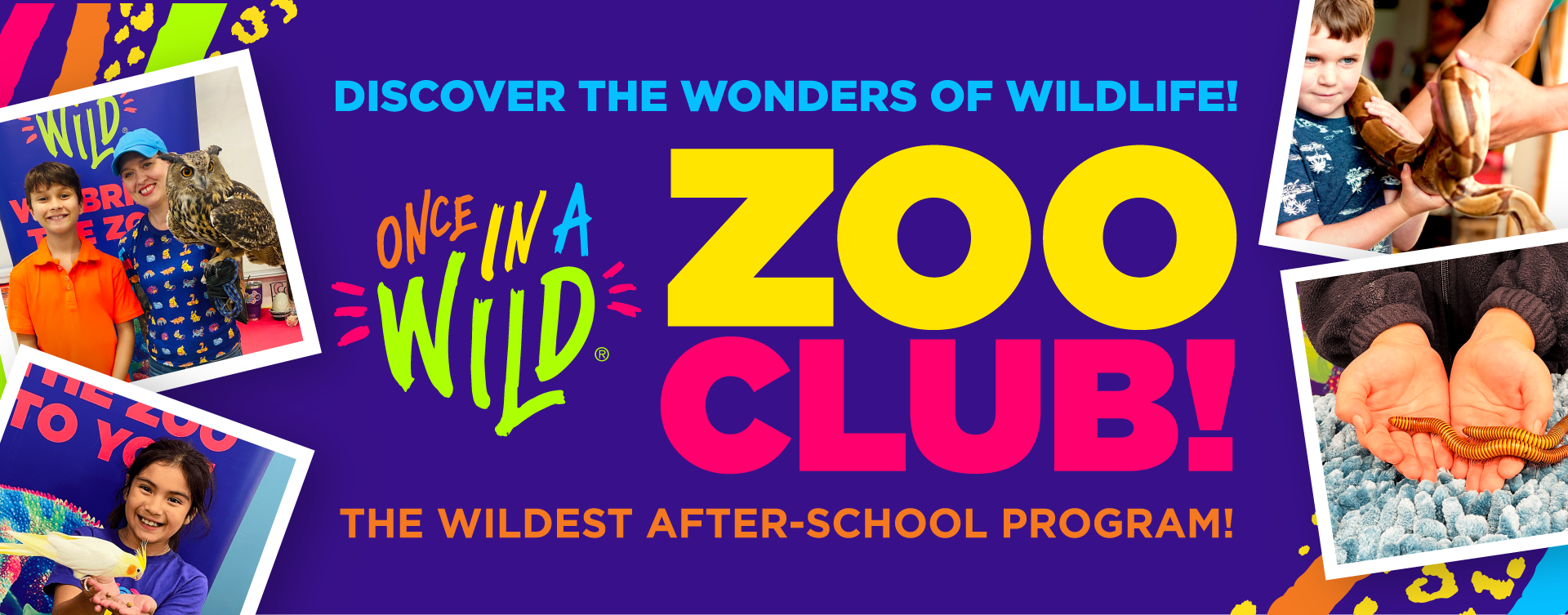 ZooClubHeaderGraphic-1 ZooClubHeaderGraphic-1