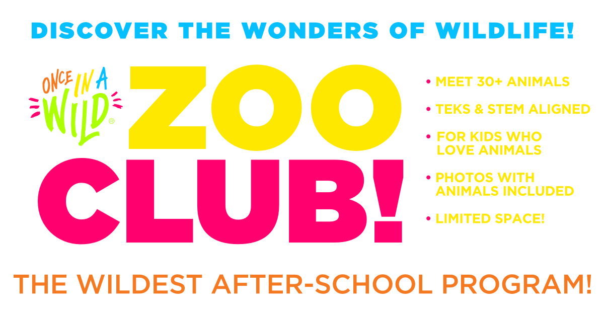 Zooclub